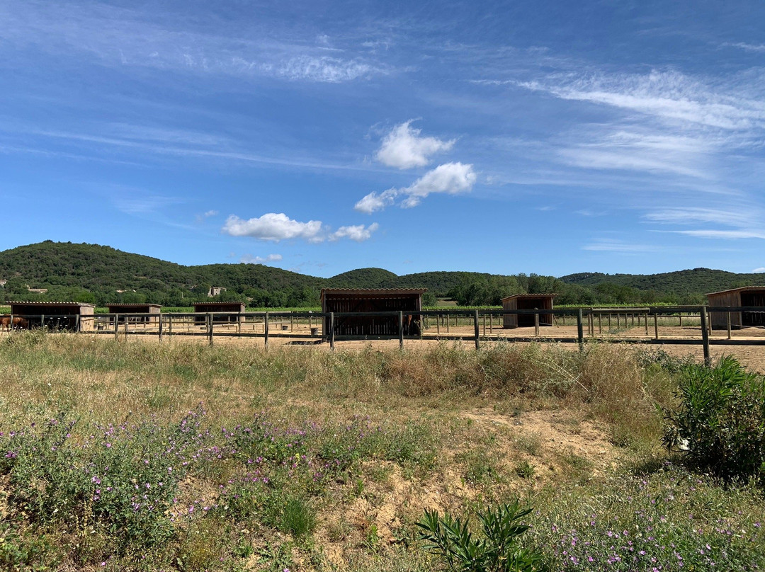 Le haras de Durfort景点图片