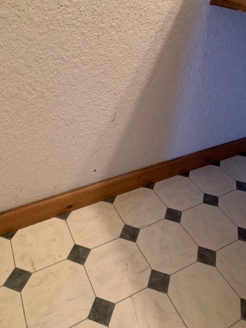 Sundown Motor Lodge主图