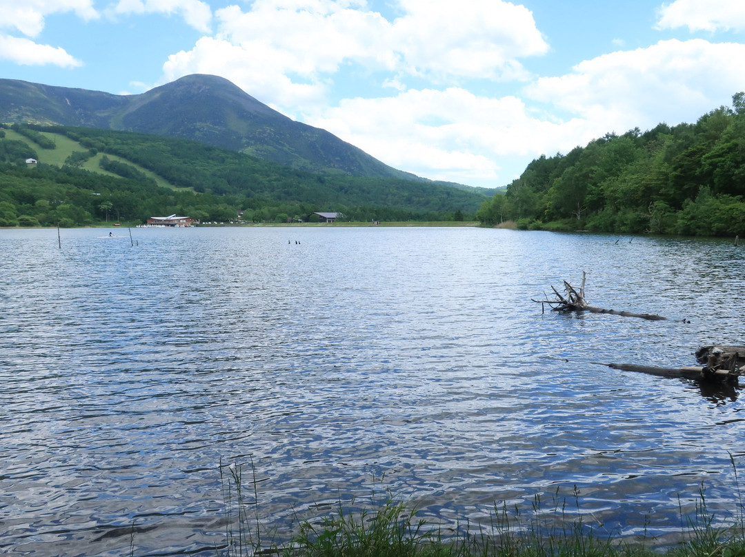Megami Lake景点图片