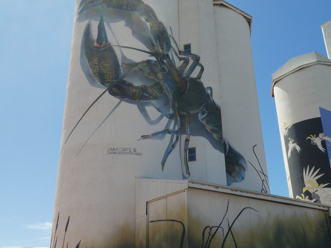Waikerie Silo Art景点图片