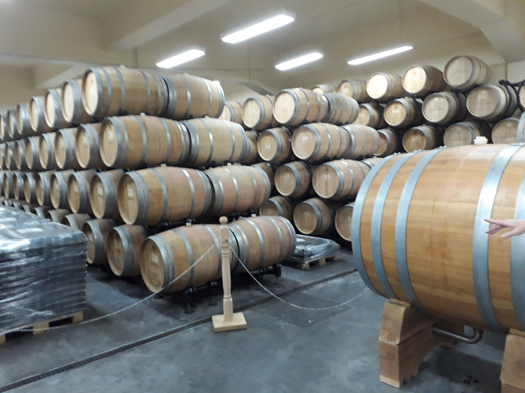 Agrolaguna-波雷奇必去景点