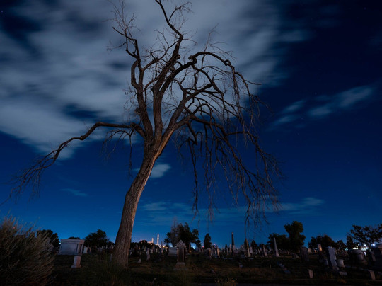 Honolulu Haunts Ghost Tours And Pub Crawls-火奴鲁鲁必去景点