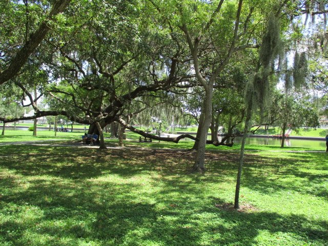 Craig Park-塔彭斯普林斯必去景点