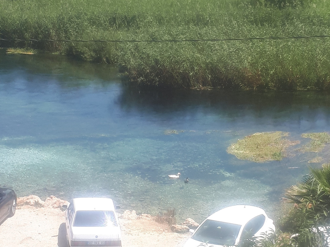 Portofino Butik Hotel主图