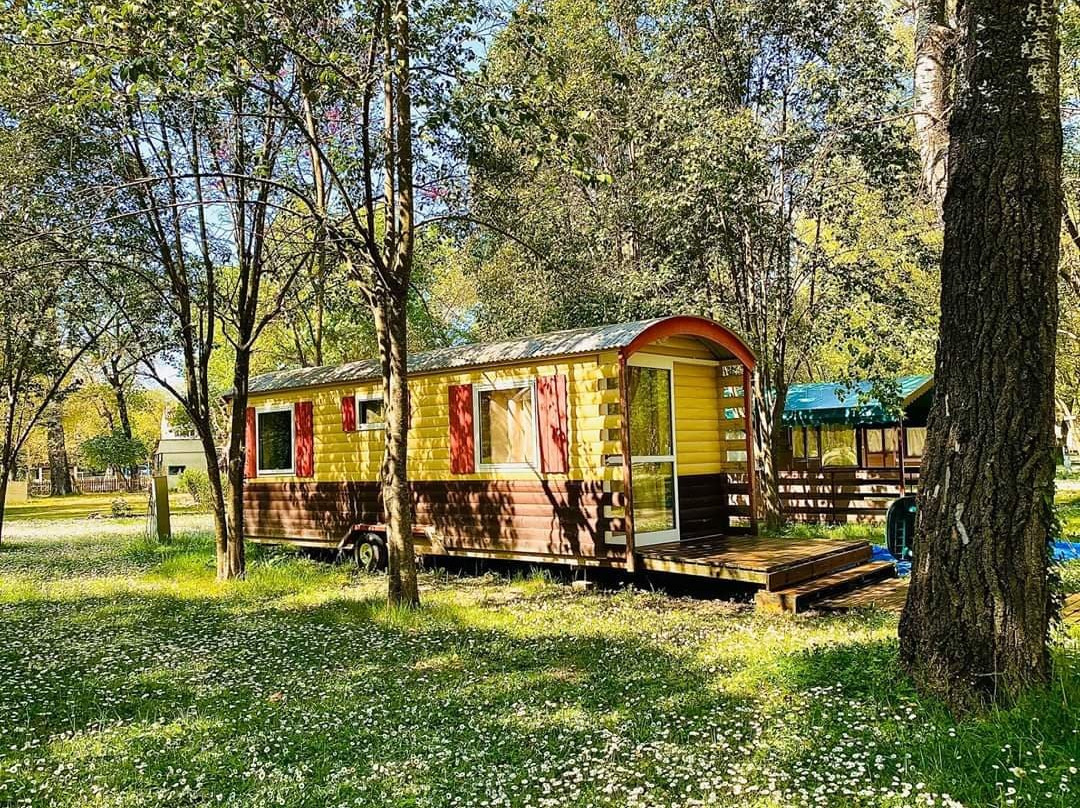 Camping du Lion