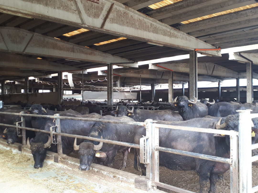 Azienda Agricola Fratelli Facchi-Oleggio必去景点