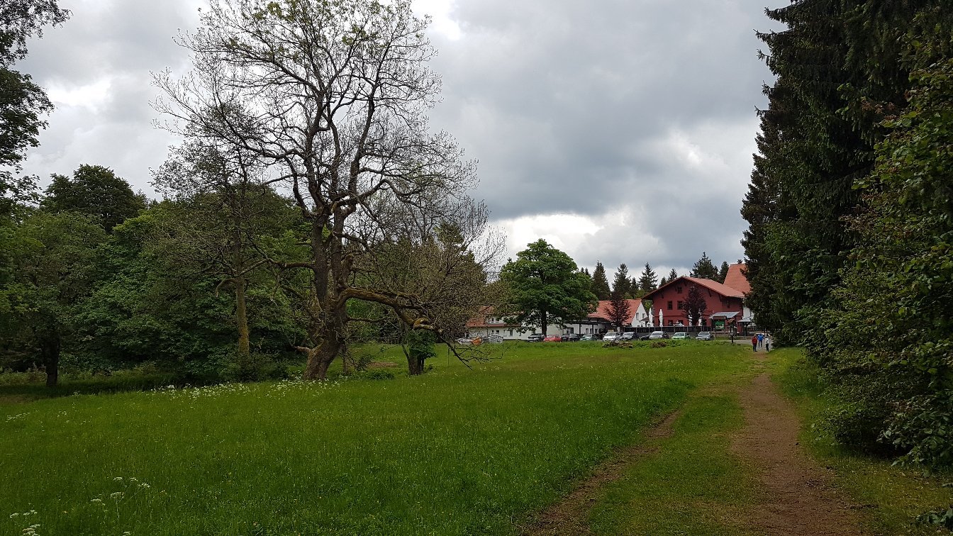 Hotel und Berggasthof Tanzbuche-官方
