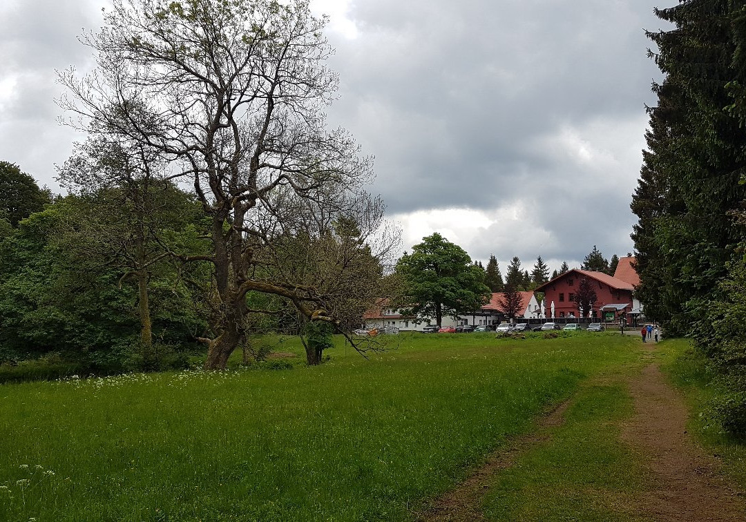 Hotel und Berggasthof Tanzbuche主图