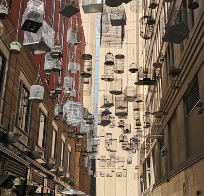 Forgotten Songs-悉尼必去景点