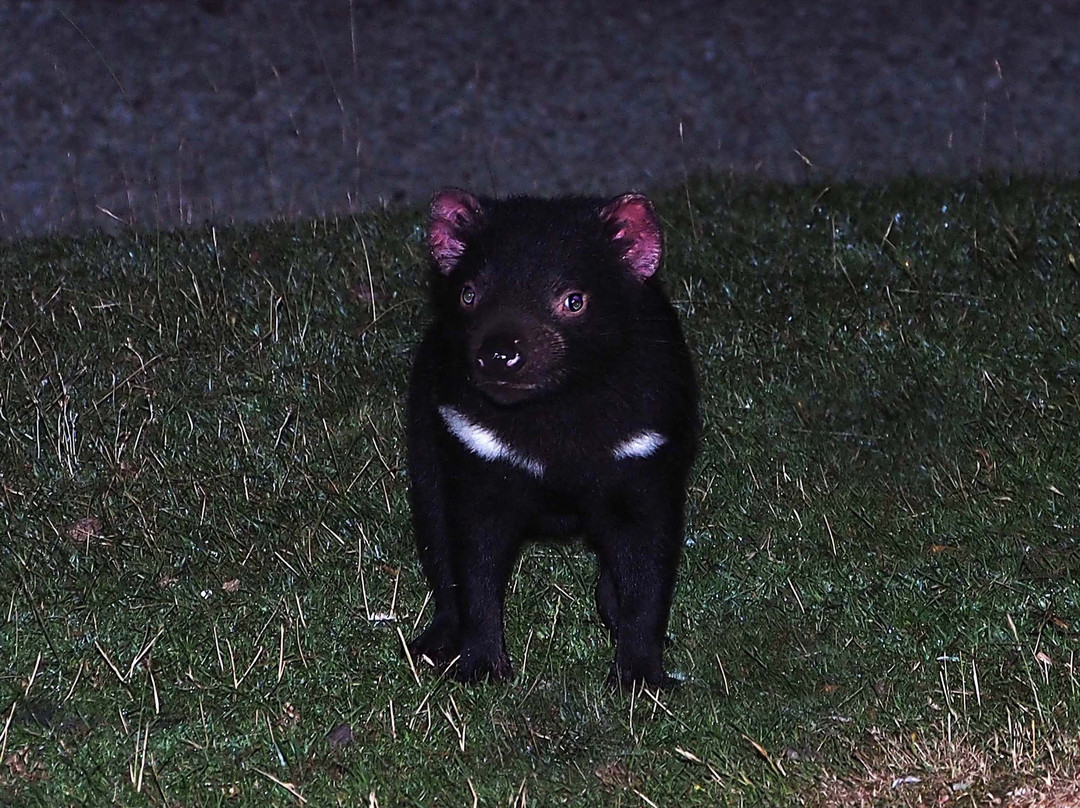 Mountain Valley Wilderness Holidays主图