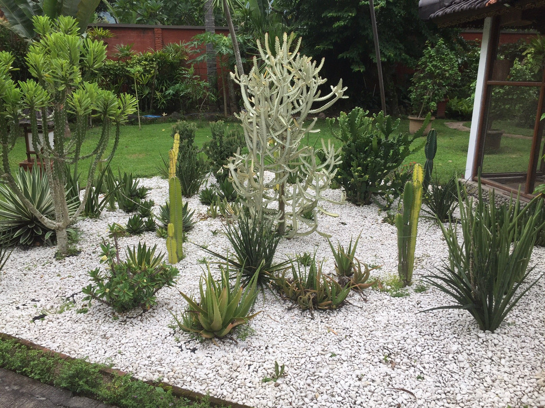 Puri Mas Spa Resort - Chakra Spa-马塔兰必去景点