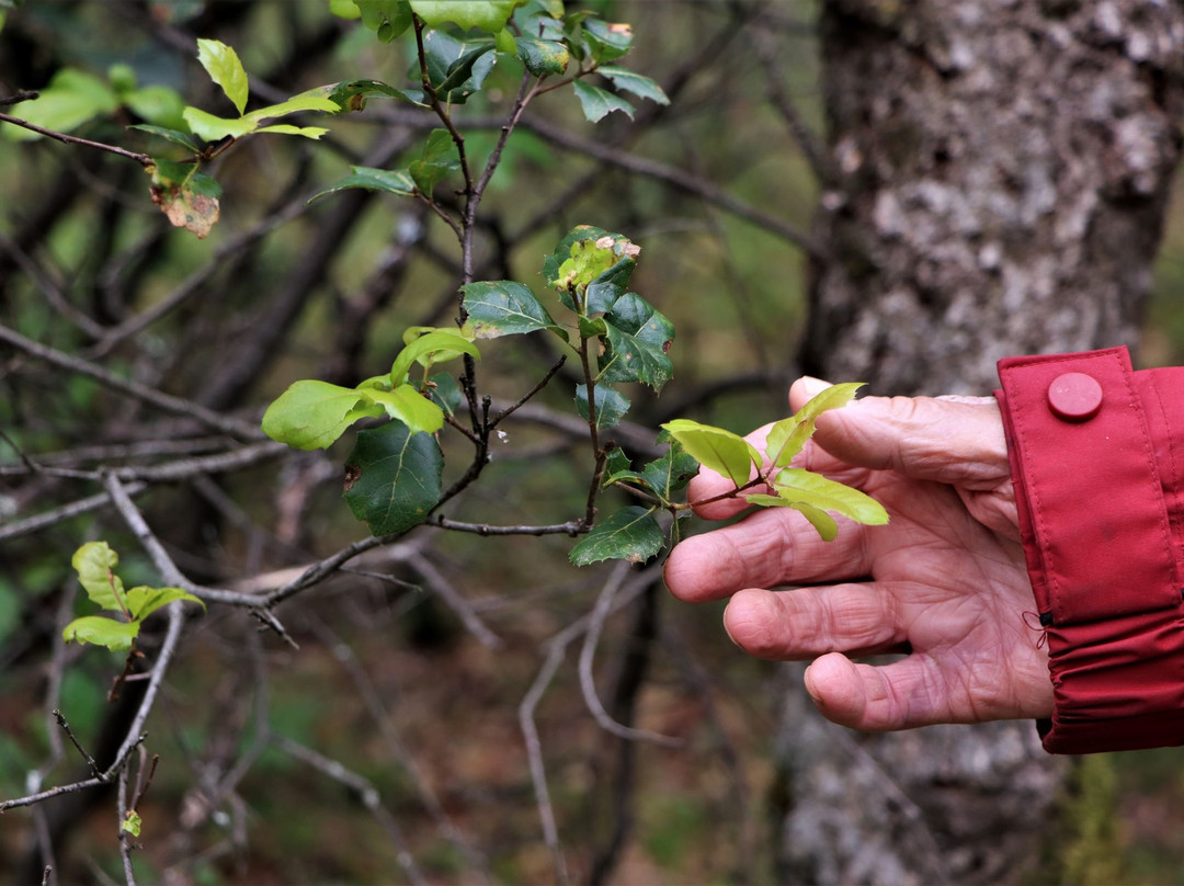 Placer Nature Center-Auburn必去景点