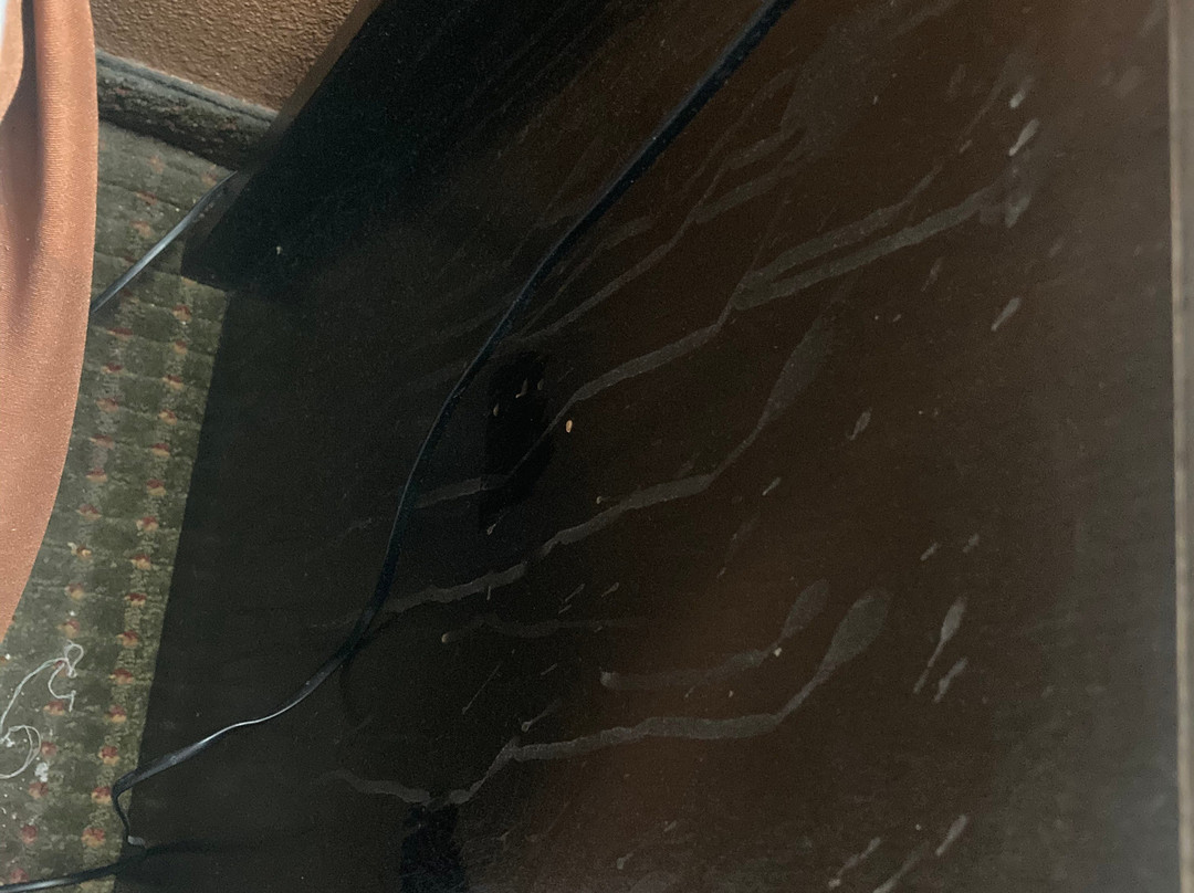 Comfort Inn & Suites主图