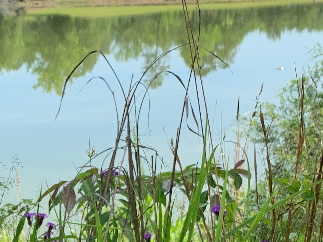Croft State Park景点图片