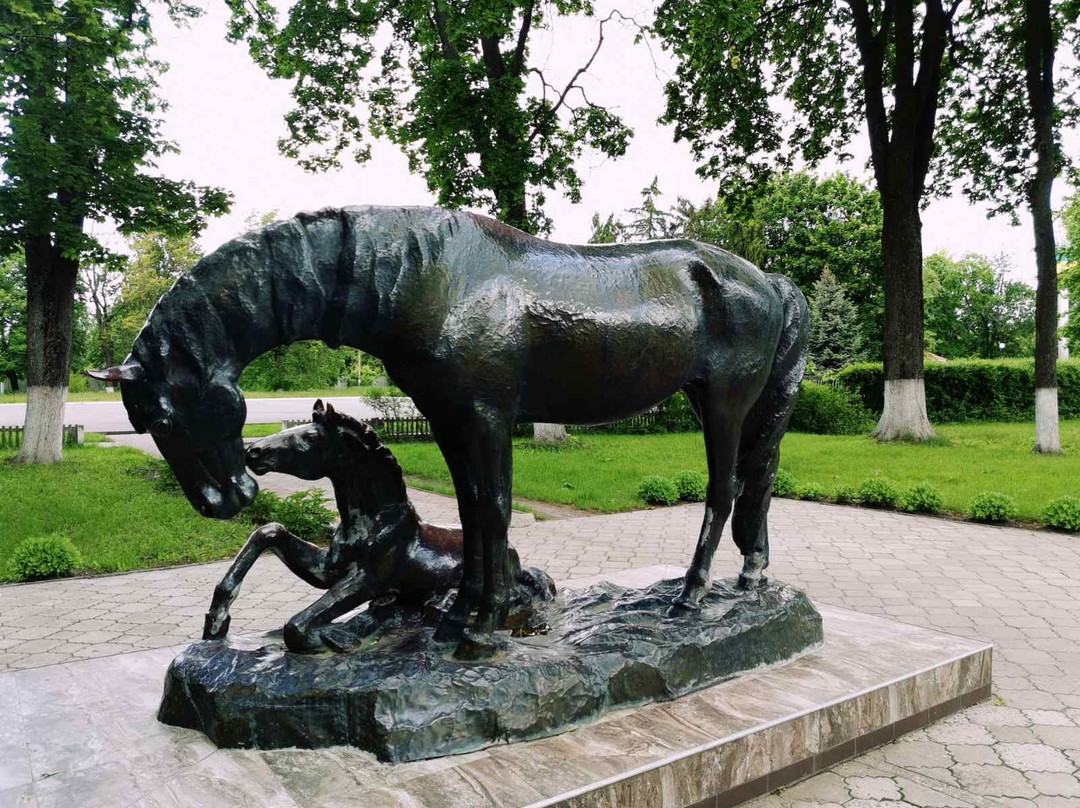 Dubrovka Horse Ranch-Dubrovka必去景点