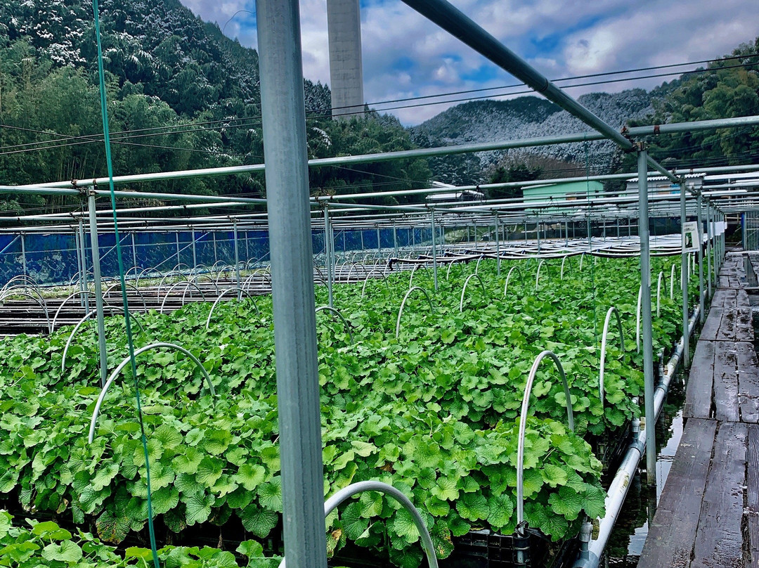 Wasabien Taradake-太良町必去景点