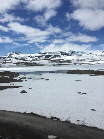 Norway in a nutshell®-卑尔根必去景点