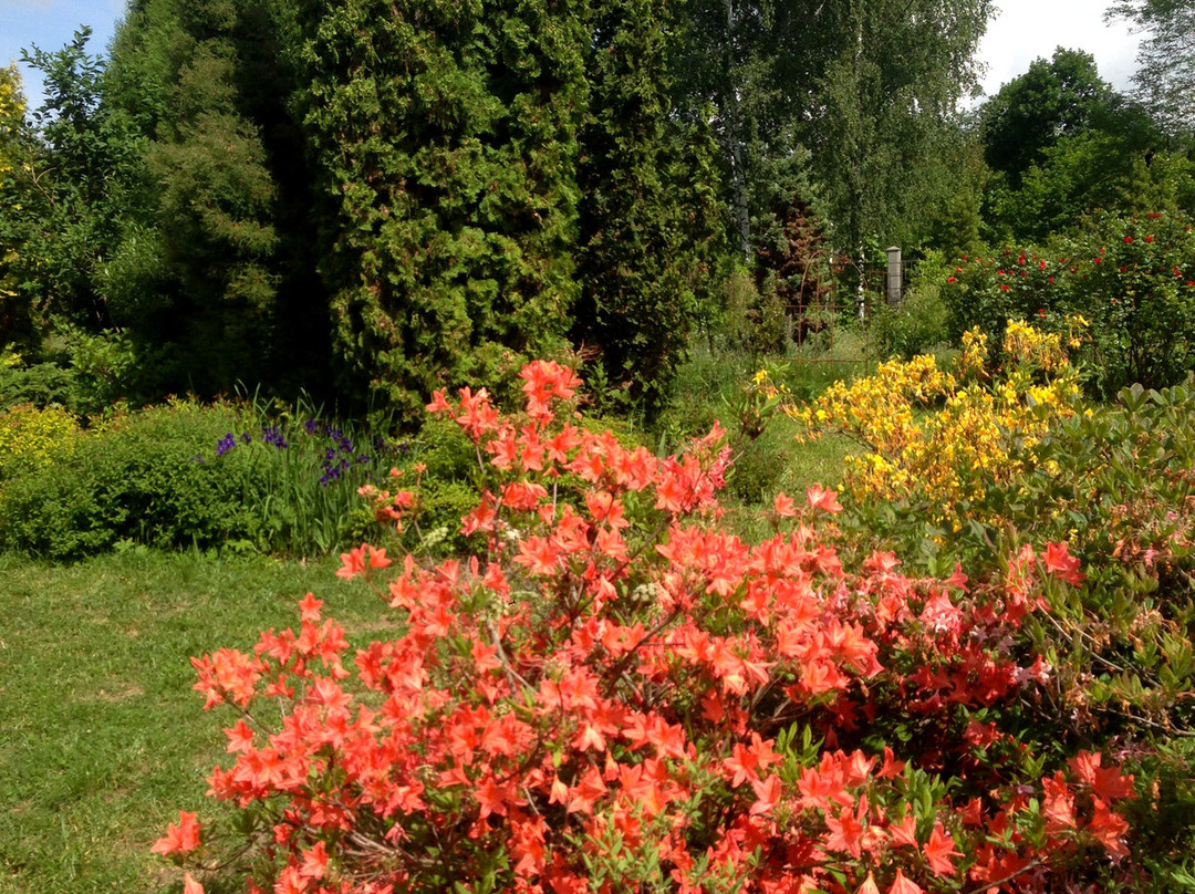 NII Botanical Garden-下诺夫哥罗德必去景点