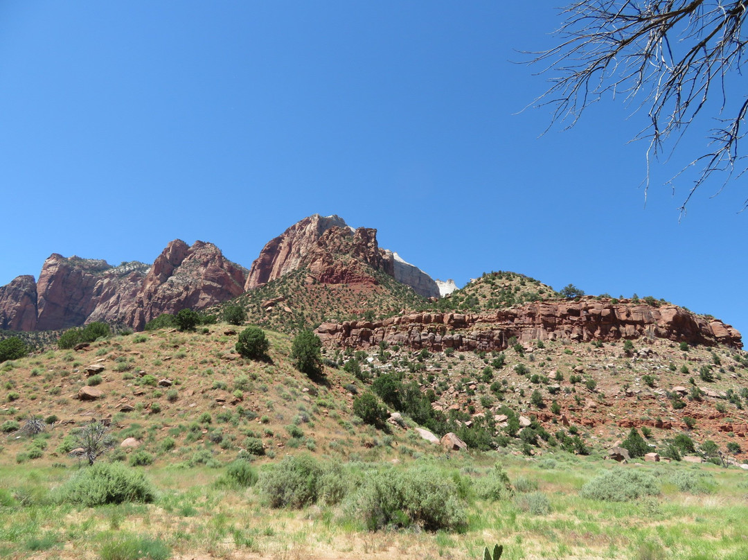 Zion Human History Museum-斯普林代尔必去景点