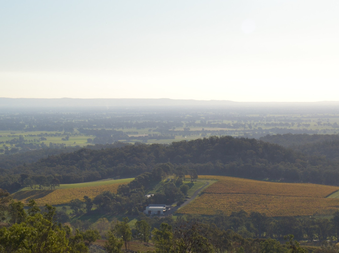 Serengale Vineyard-比奇沃思必去景点