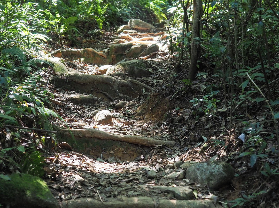 Lang Biang-Lac Duong必去景点