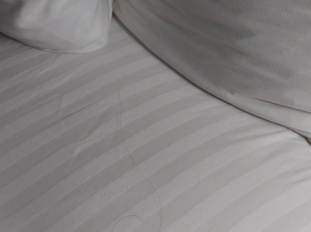 La Quinta Inn & Suites by Wyndham NE Long Beach/Cypress主图