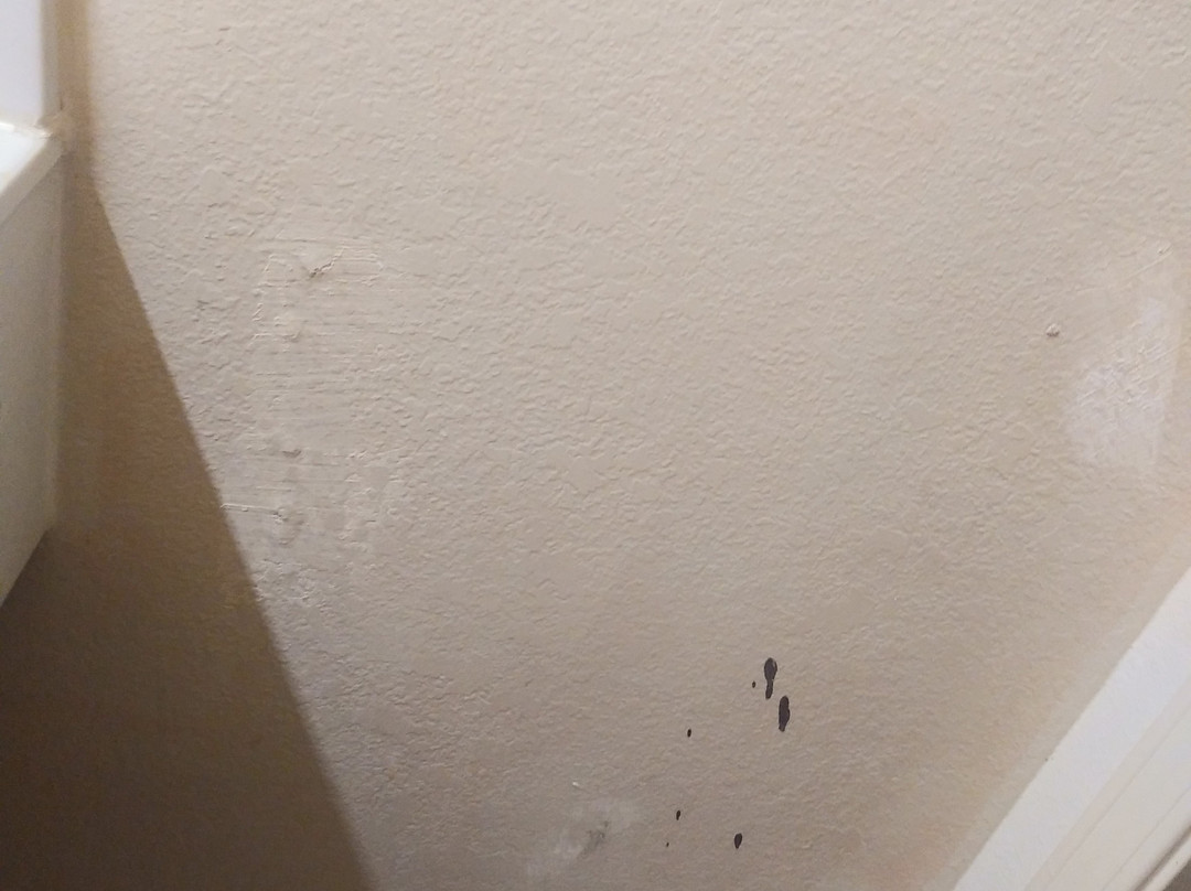 M-Star Hotel Searcy主图