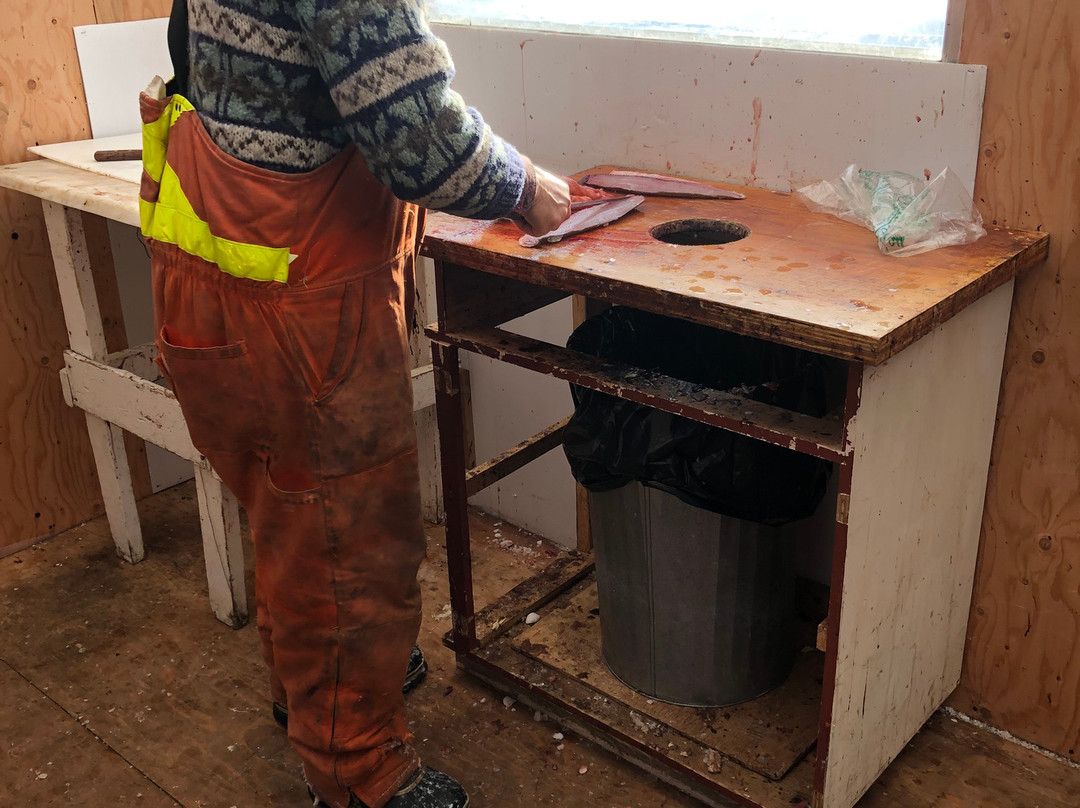 Great Slave Lake Tours-Hay River必去景点