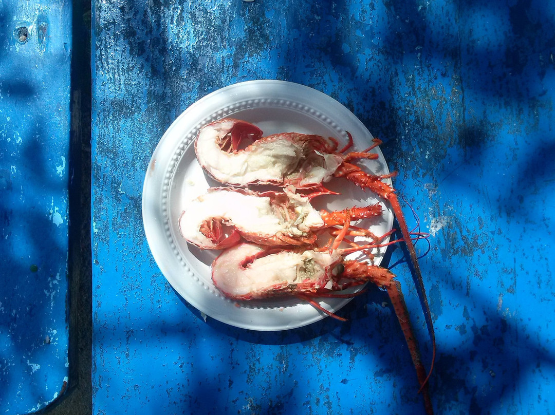 Oceanario-Islas de Rosario必去景点