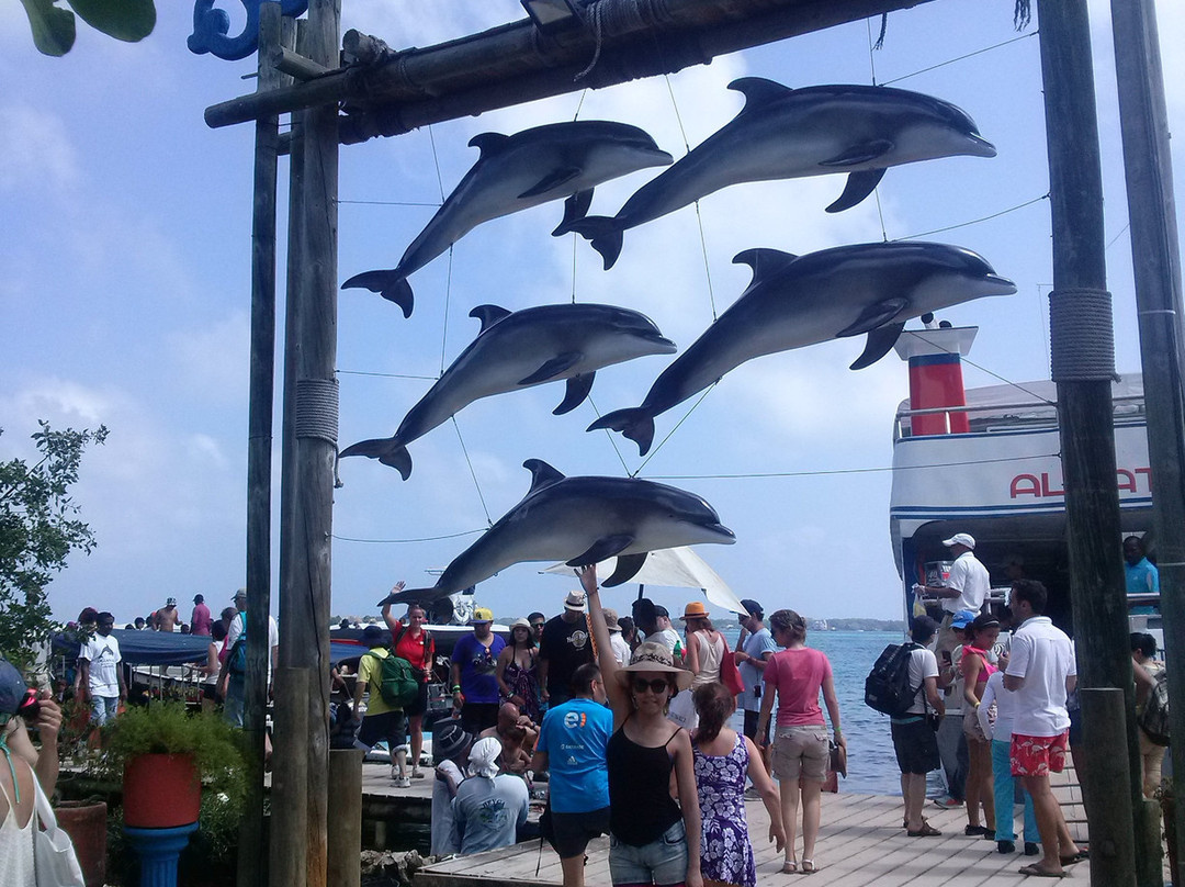 Oceanario-Islas de Rosario必去景点