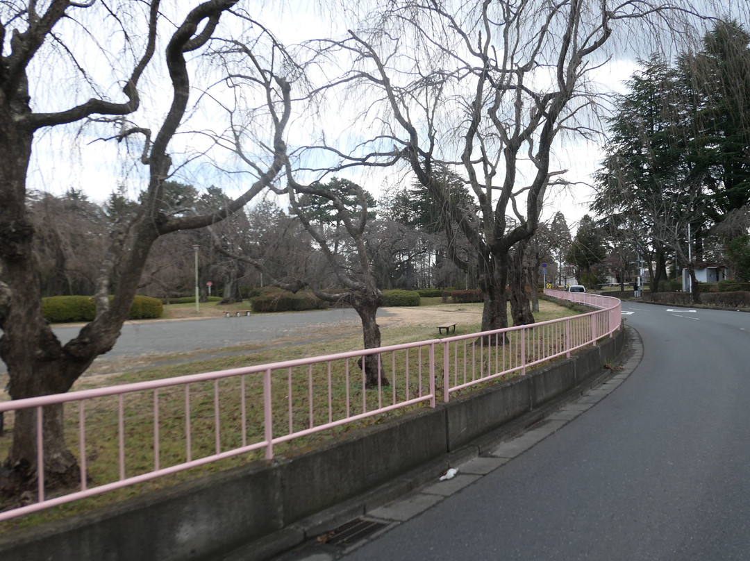 Tsutsujigaoka Park-仙台市必去景点