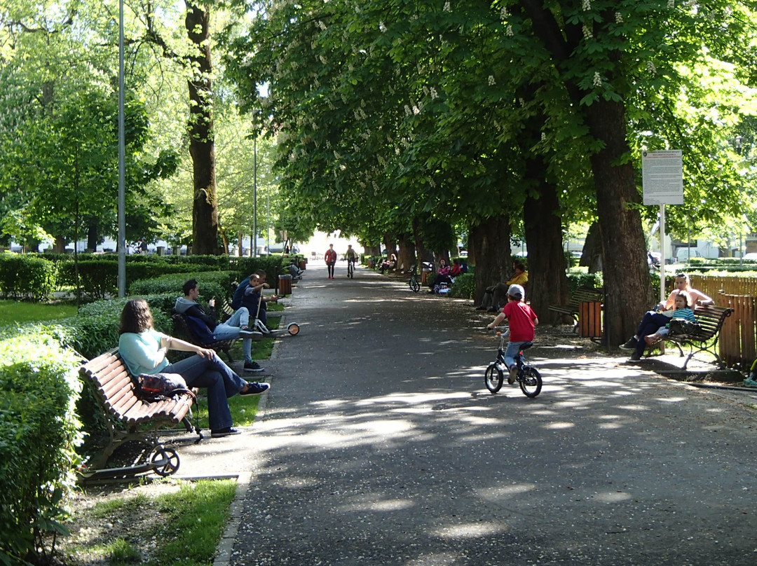 Parcul Nicolae Titulescu景点图片