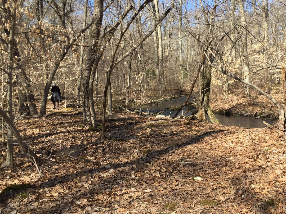 Caratunk Wildlife Refuge-Seekonk必去景点