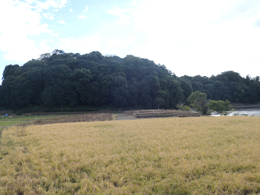 Makimuku Old Tomb-樱井市必去景点