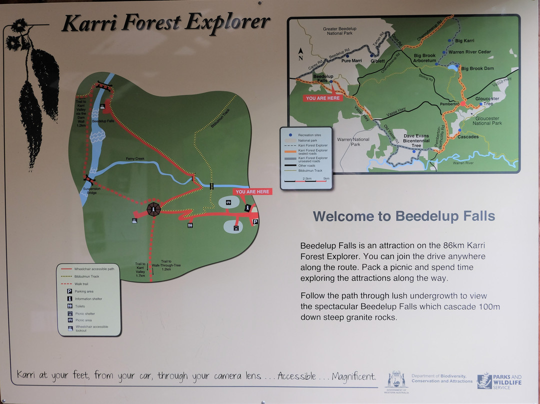 Greater Beedelup National Park-彭伯顿必去景点