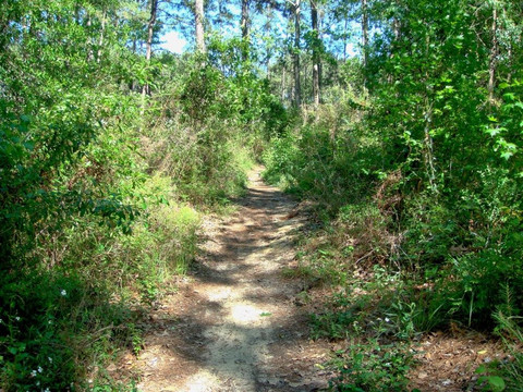 John Slidell Park-斯莱德尔必去景点