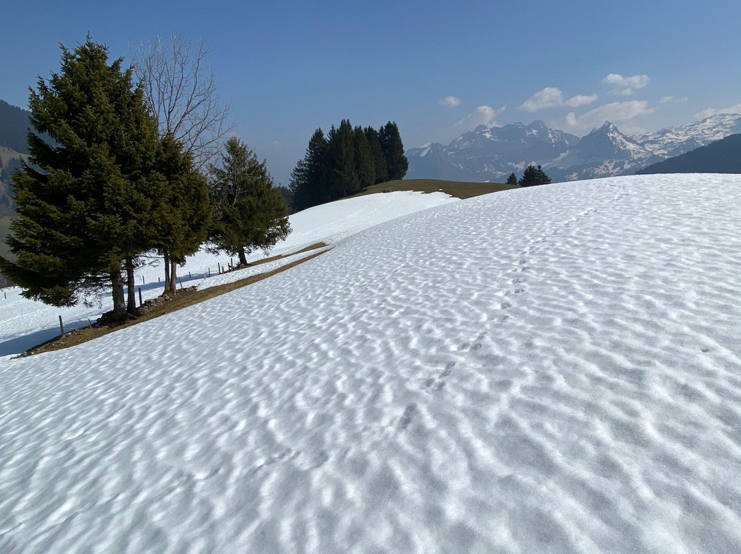 Obersee-Nafels必去景点