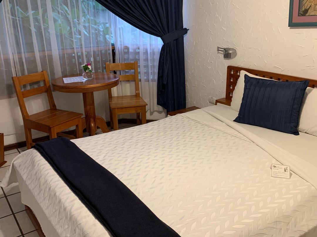 Hotel Silberstein主图