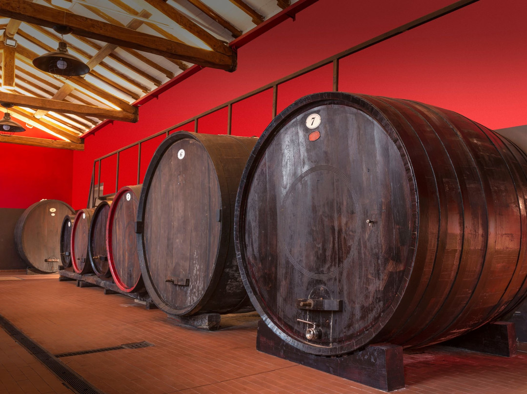 Aceto Balsamico del Duca di Adriano Grosoli dal 1891-San Vito di Spilamberto必去景点