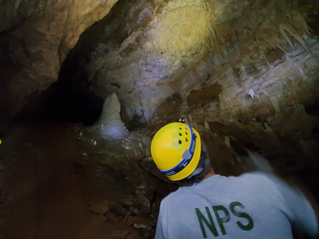 Hall of The White Giant-卡尔斯巴德洞穴国家公园必去景点