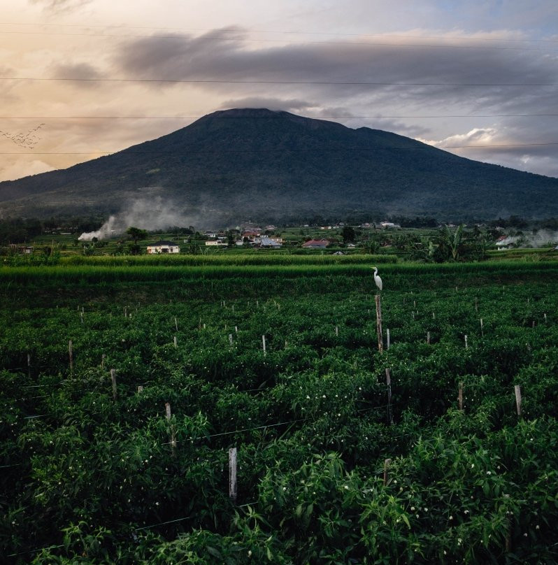 Mount Marapi (Gunung Marapi)-武吉丁宜必去景点