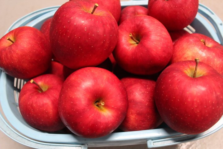 Tamura Apple Farm-沼田市必去景点