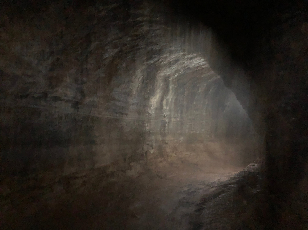 Tunel de Lava Bellavista-Bellavista必去景点