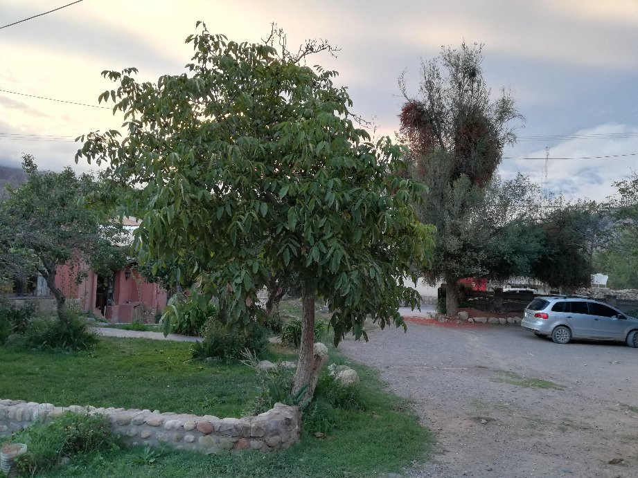 Club Hostel Tilcara主图