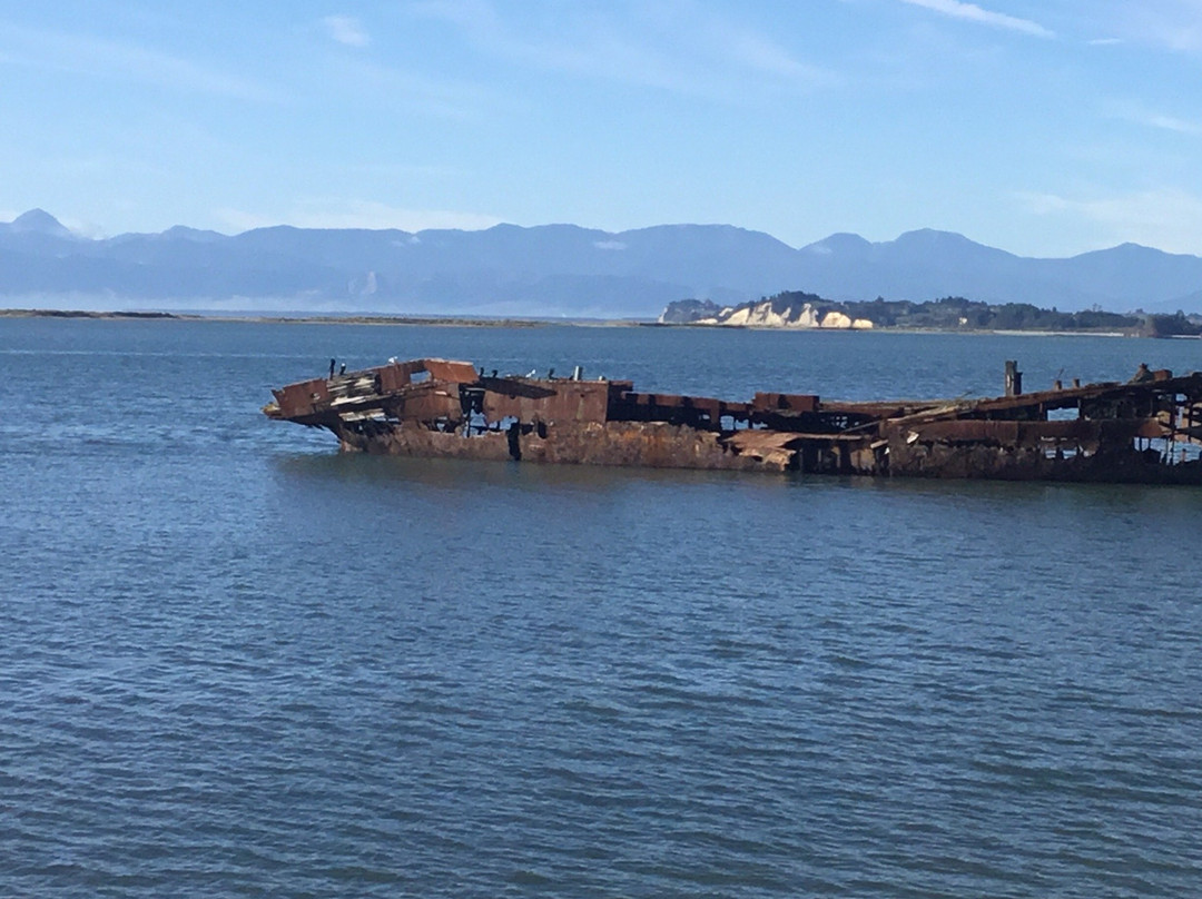 Wreck of the Janie Seddon景点图片