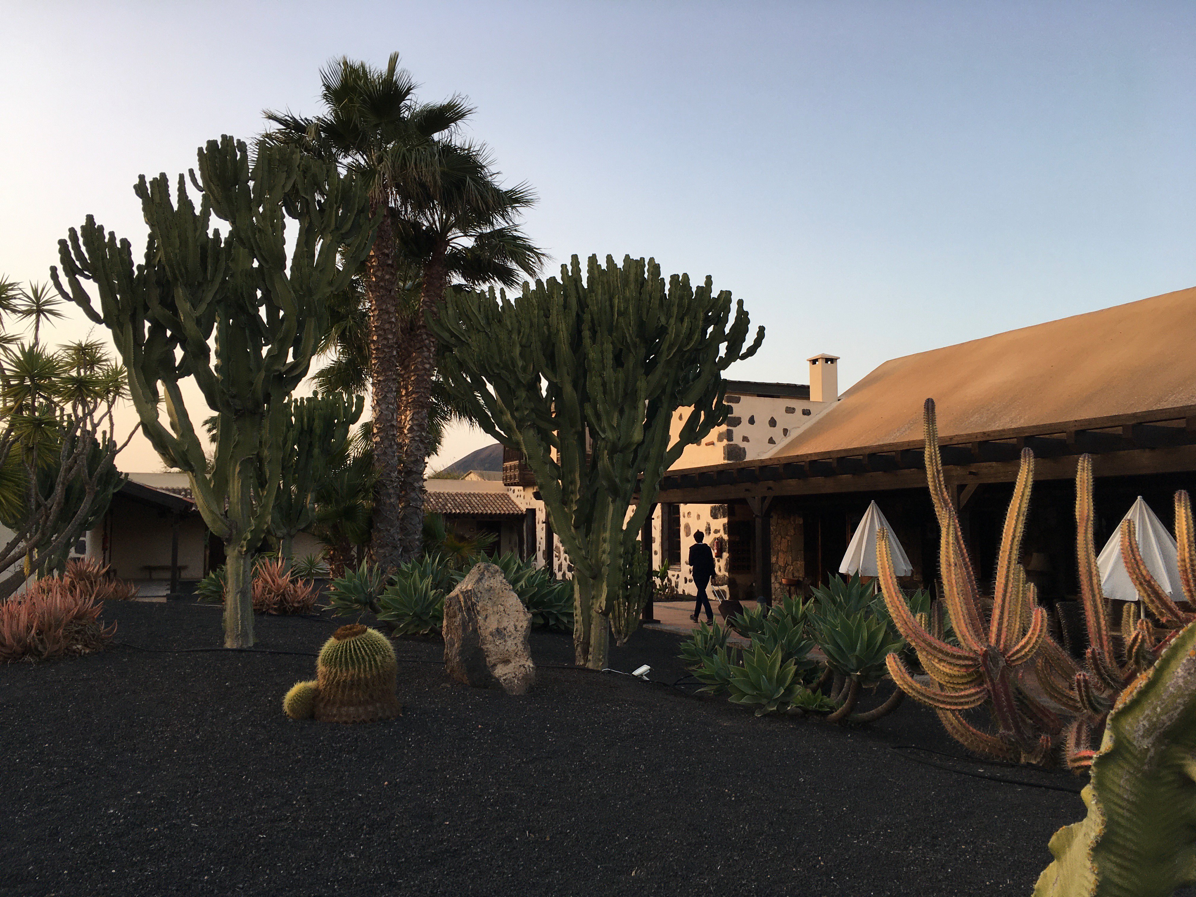 Hotel Boutique & Villas Oasis Casa Vieja-浴室
