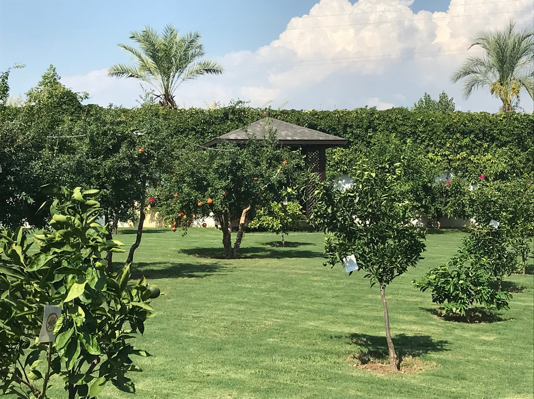 Mary Hotels Side主图