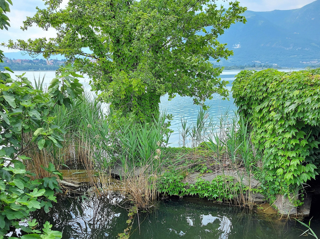 Lago di Annone景点图片