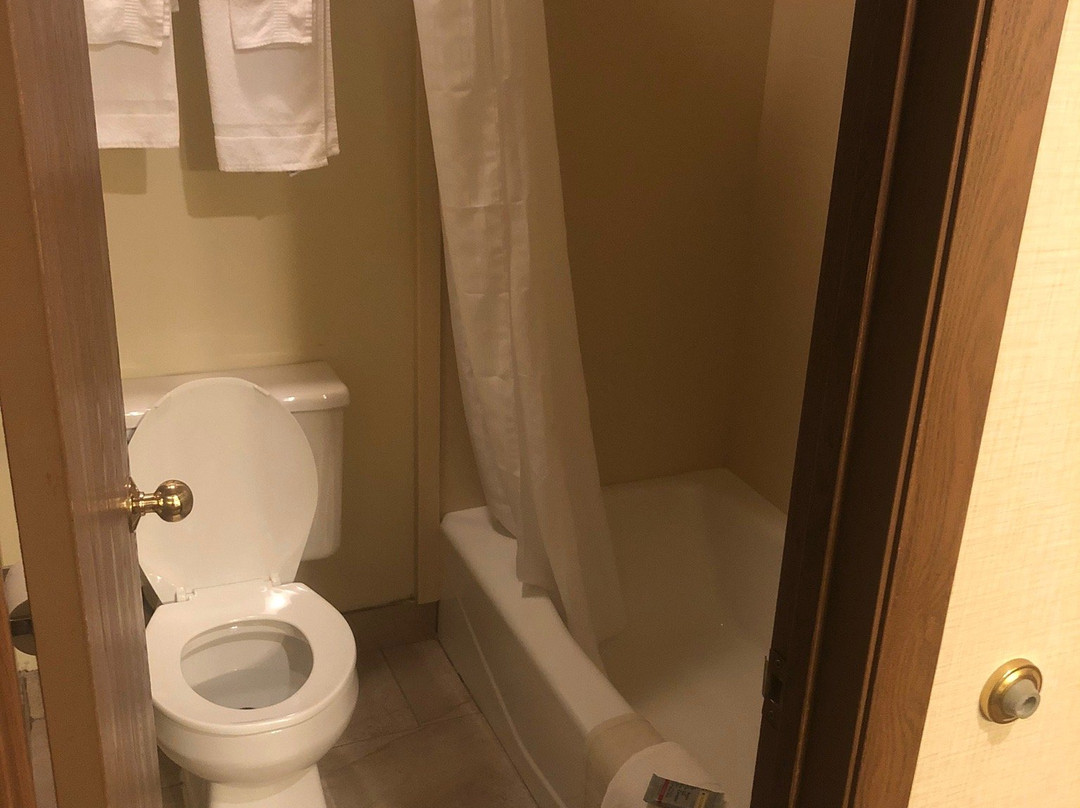 Best Western Pinedale Inn主图