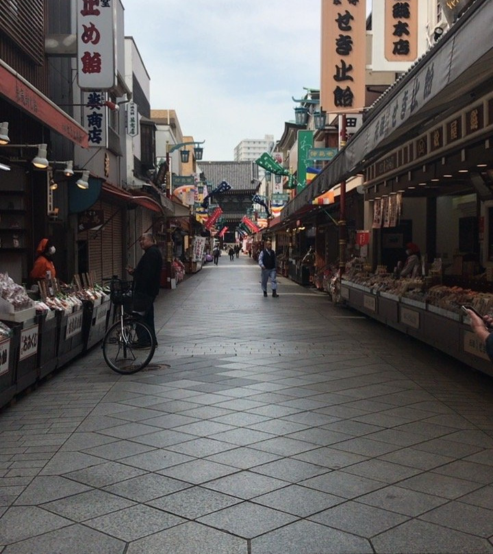 Kawasakidaishi Nakamise Street景点图片